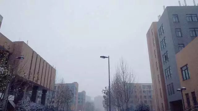 农大开学通知,农大校园景观