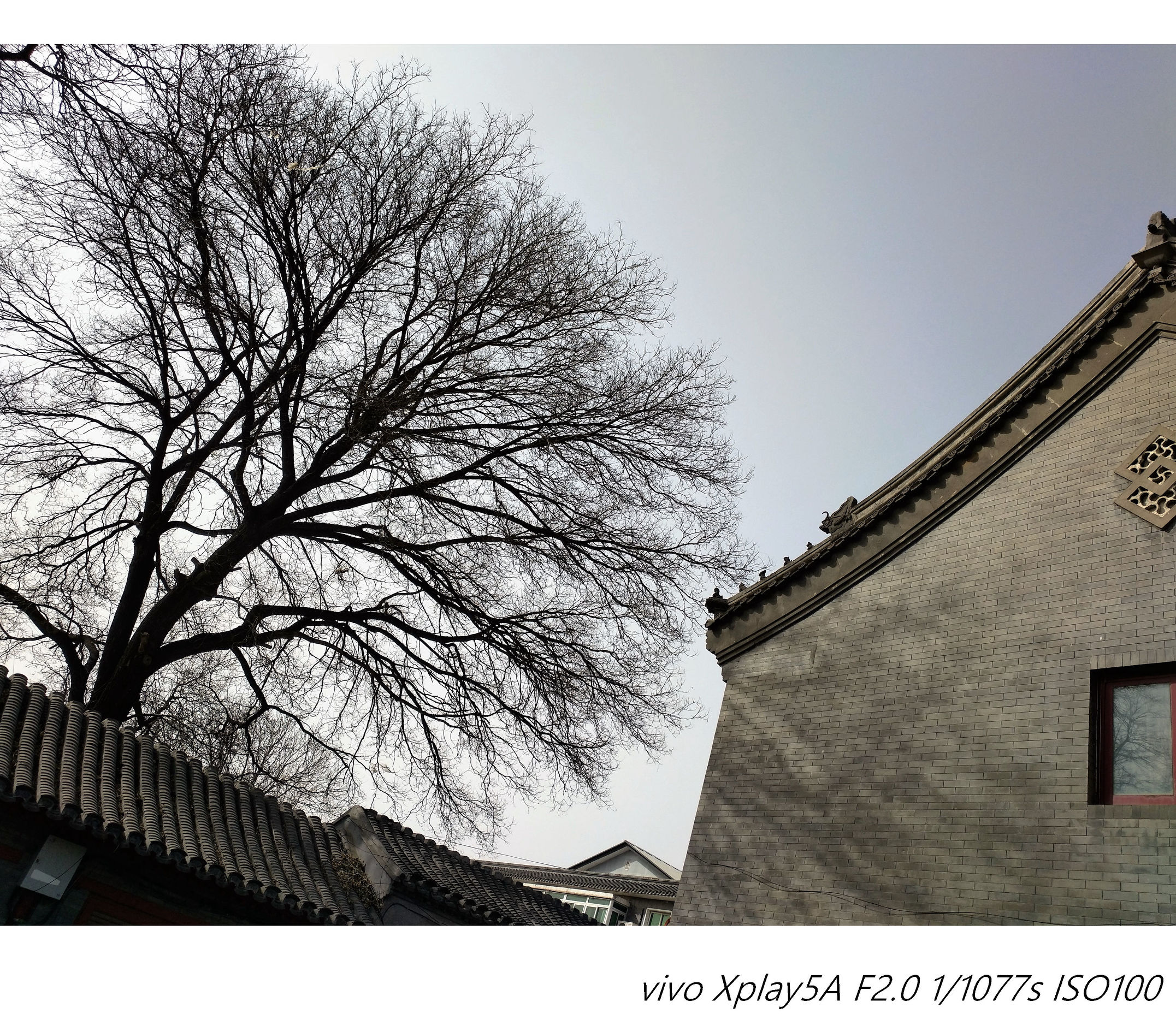 王者归来实战,王者归来操作