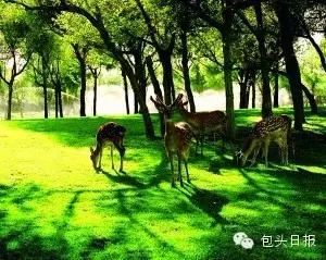 包头空气清新的地方,包头五一游玩好去处