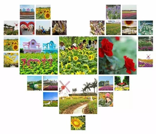 从A到Z,26个字母,看透大南沙!