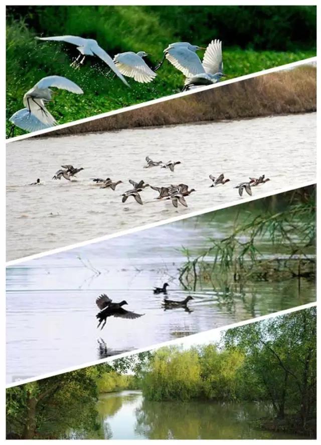 从A到Z,26个字母,看透大南沙!