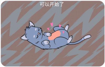 新手养猫指南铲屎官必看,铲屎官需要知道45条养猫知识科普