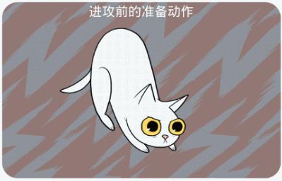 新手养猫指南铲屎官必看,铲屎官需要知道45条养猫知识科普