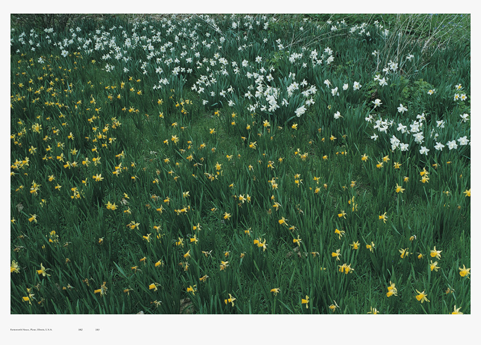 日本山寨是怎样的,日本怎么从山寨起家