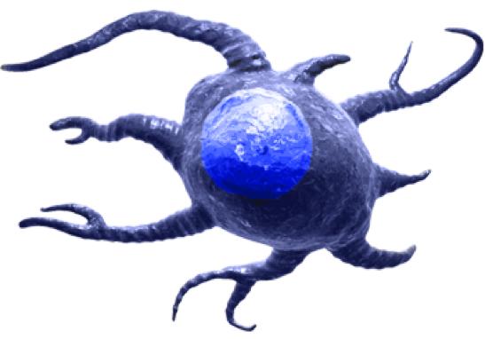 免疫治疗癌症的真实案例,抗癌诺奖