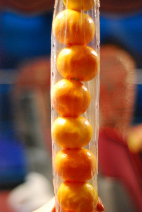 与海洋航行者号美丽邂逅（二）