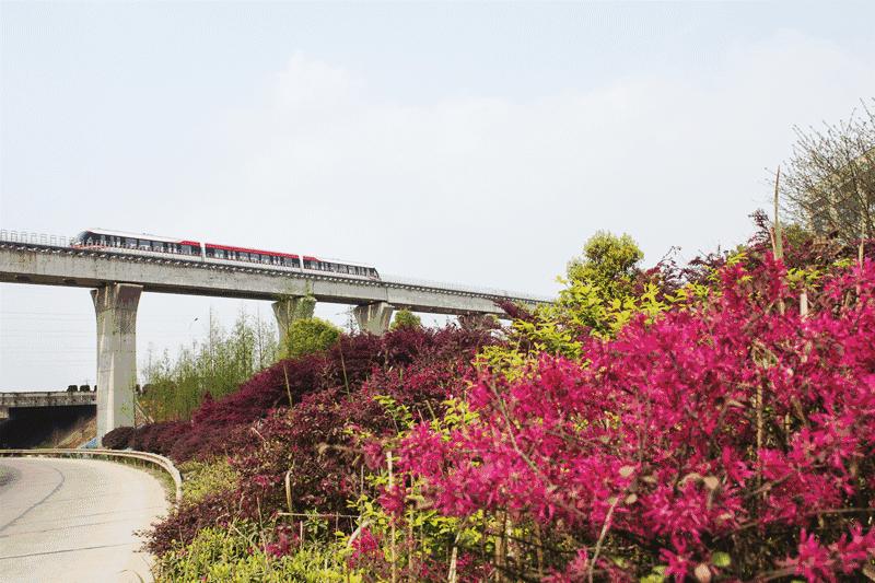 长沙磁浮快线网上购票,长沙磁浮快线票价多少