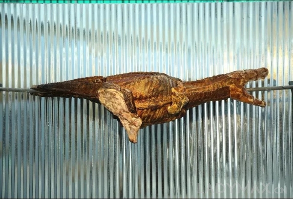 高端有设计感的男装品牌推荐,高端好看的中国男装品牌