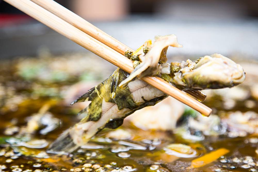 成都吃鱼最好吃的地方,成都吃鱼推荐