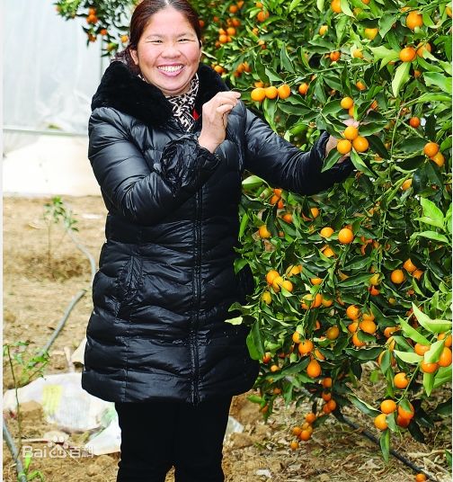 全国被点名表扬的四位明星,自治区表彰桂林多人登上光荣榜