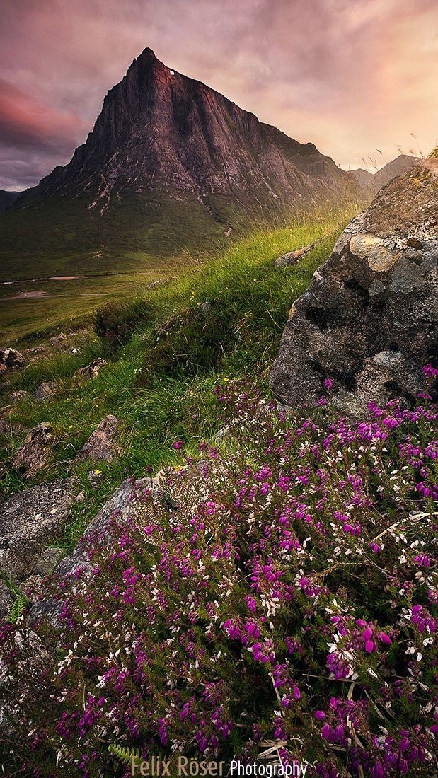 winter豆瓣日记,豆瓣冬天的日记