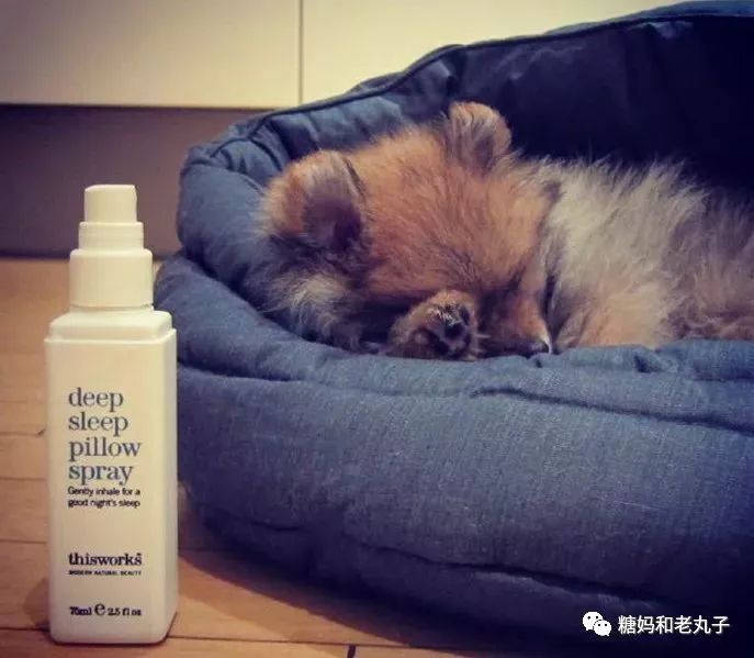 在成年人世界没有什么可怕的,成年人的世界没有睡眠