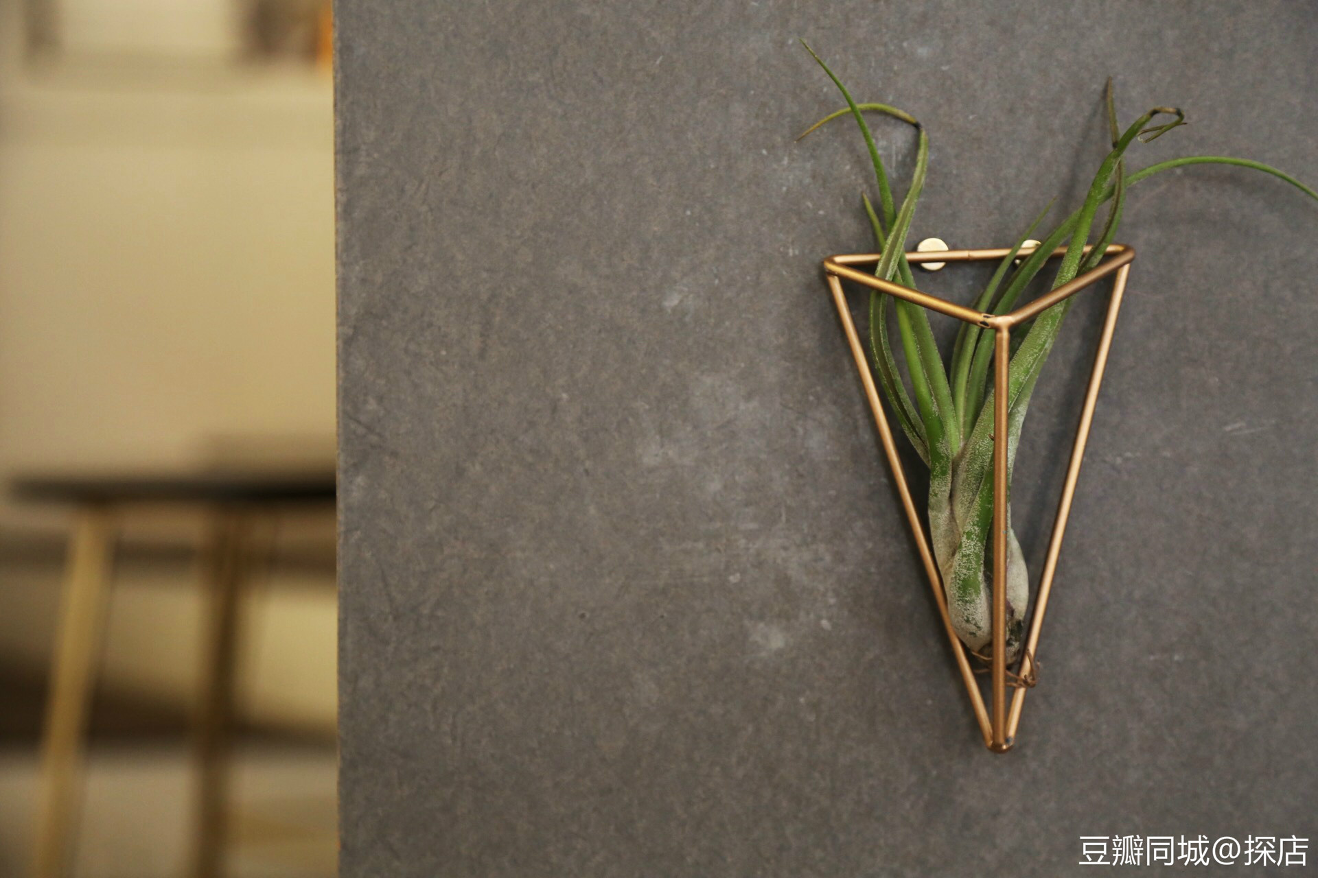 豆瓣青岛周末活动,豆瓣在哪里发布