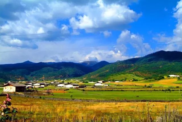 藏族作家阿来的作品尘埃落定,藏族作家阿来简介及作品