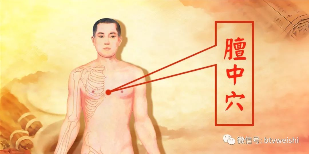 养生堂今日现场直播回放,养生堂程氏针灸视频