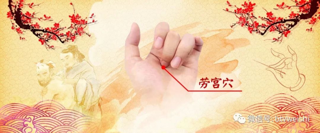 养生堂今日现场直播回放,养生堂程氏针灸视频