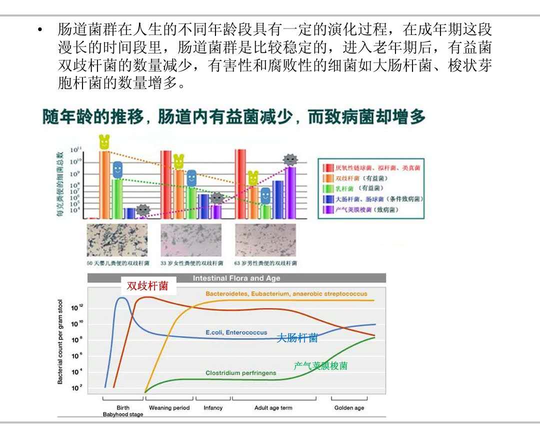 肠道健康的风风雨雨之五（最后一集）