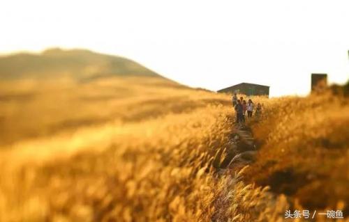 香港尖沙咀有什么地方可以逛,香港不只有繁华更有市井