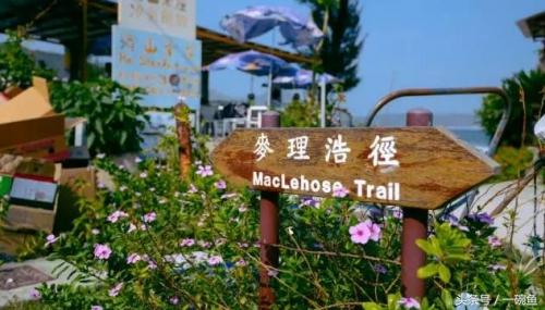 香港尖沙咀有什么地方可以逛,香港不只有繁华更有市井