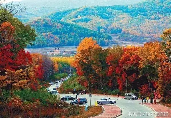 2018年哈尔滨各区县排名,2018年哈尔滨各区gdp