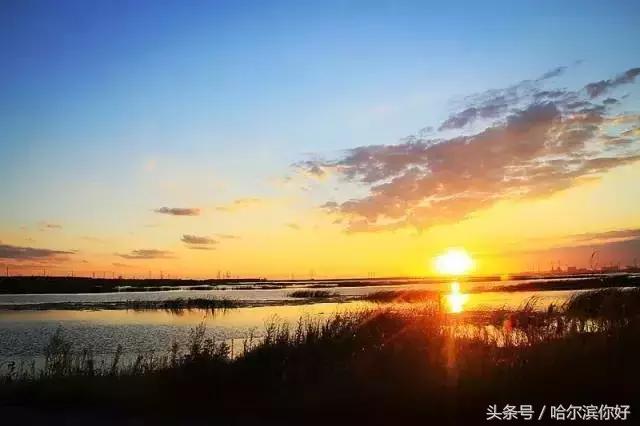 2018年哈尔滨各区县排名,2018年哈尔滨各区gdp