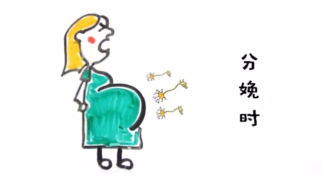 从医20年的生物博士告诉你：生小孩与*体下**被踢，哪个比较痛？