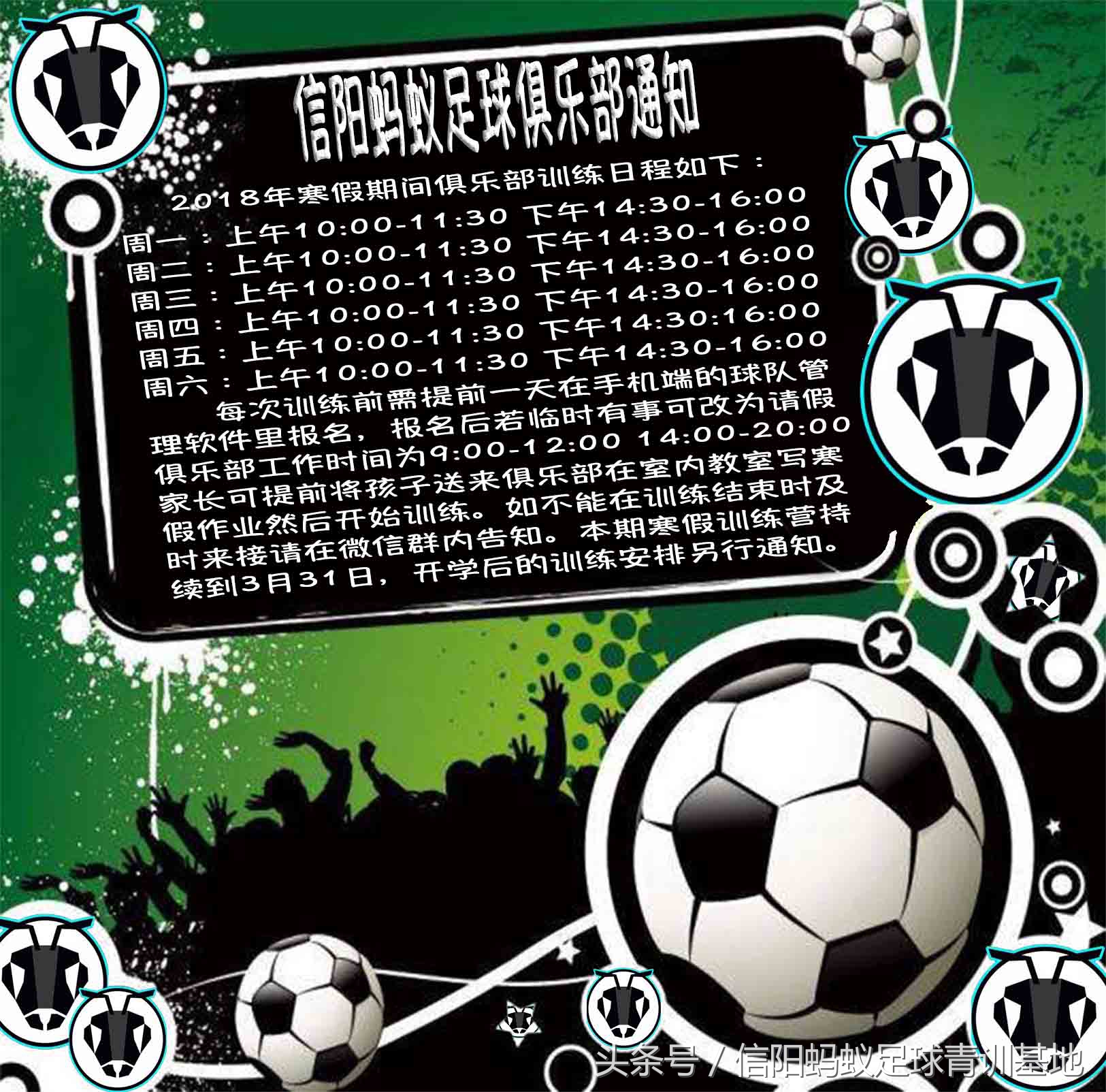 信阳蚂蚁足球直播,信阳蚂蚁足球培训班