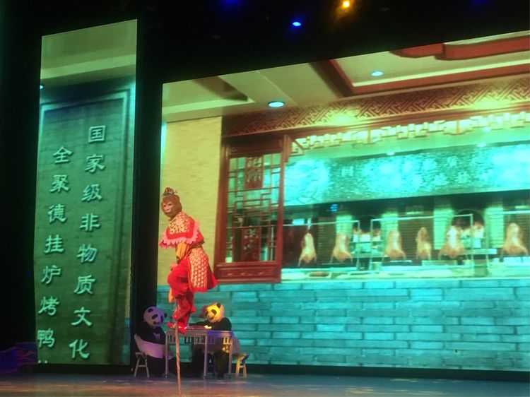 小屁孩的南京之旅,记录小屁孩的旅途