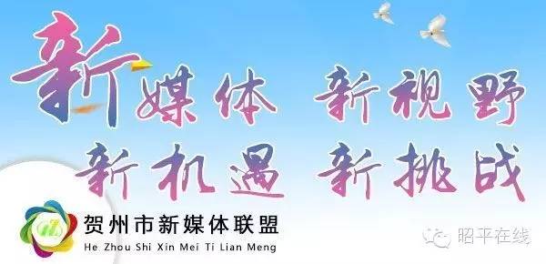 一方原木多少钱,一方原木价格