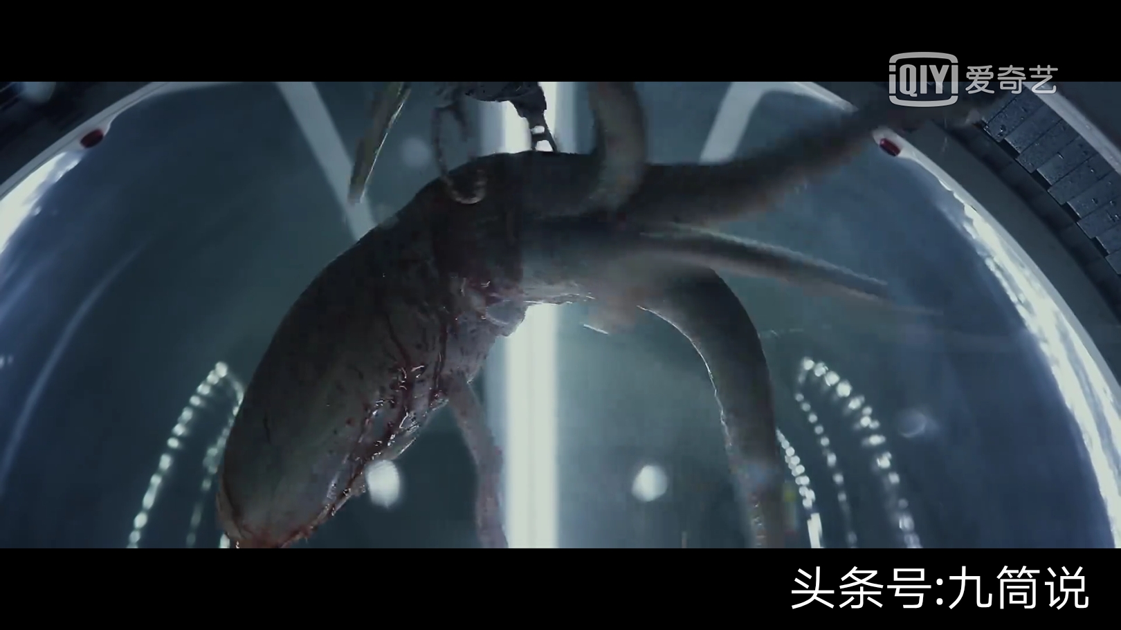 普罗米修斯跟异形里的怪物不一样 (讲解普罗米修斯和异形)