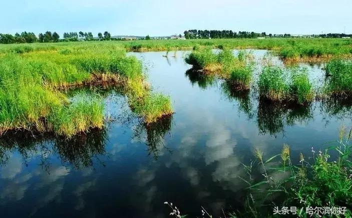 2018年哈尔滨各区县排名,2018年哈尔滨各区gdp