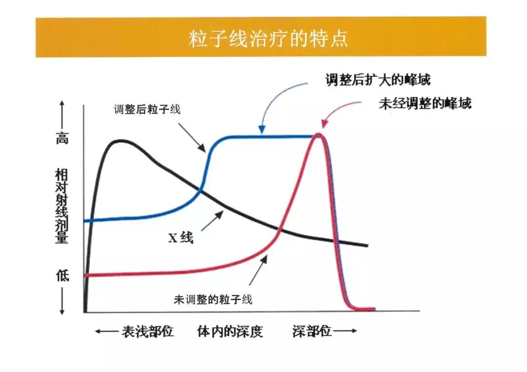 质子放疗中心安全距离,质子放疗介绍费