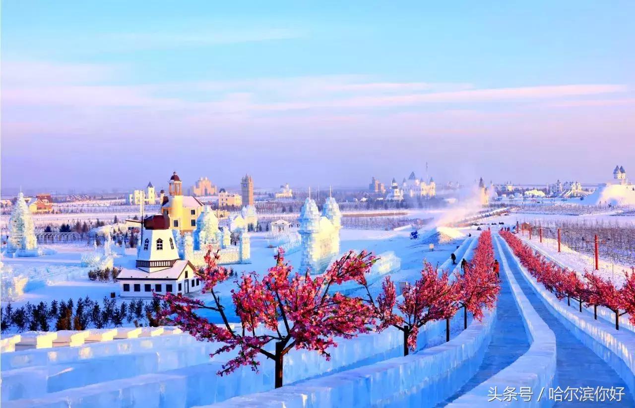 2018年哈尔滨各区县排名,2018年哈尔滨各区gdp