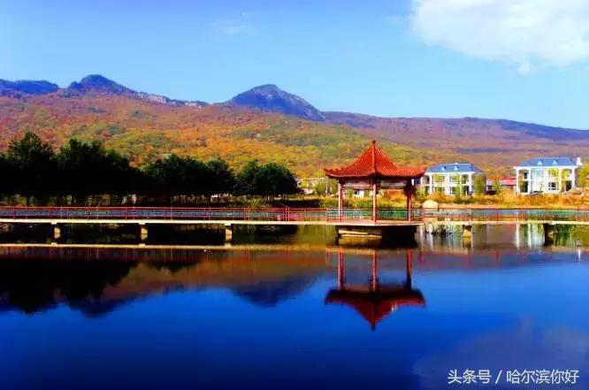 2018年哈尔滨各区县排名,2018年哈尔滨各区gdp