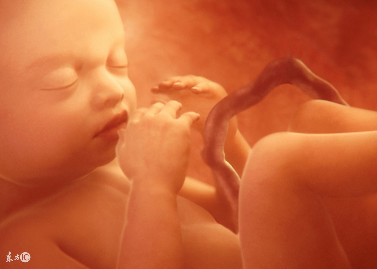 准妈妈必读孕期检查早知道,准妈妈需提防孕期四大意外