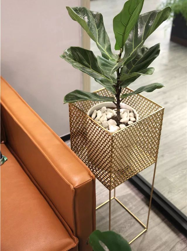 卖书卖水果是不是就不能卖蔬菜了,卖书卖花卖奶茶