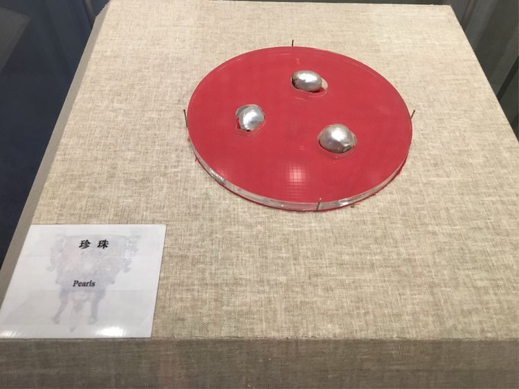 小屁孩的南京之旅,记录小屁孩的旅途