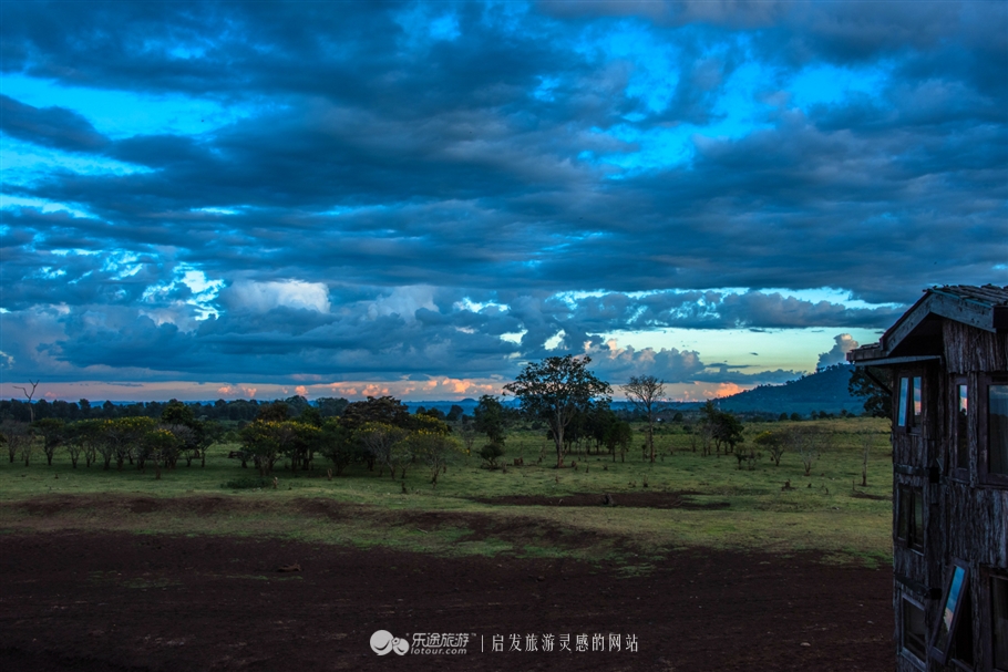 肯尼亚树顶酒店我住在了女王隔壁