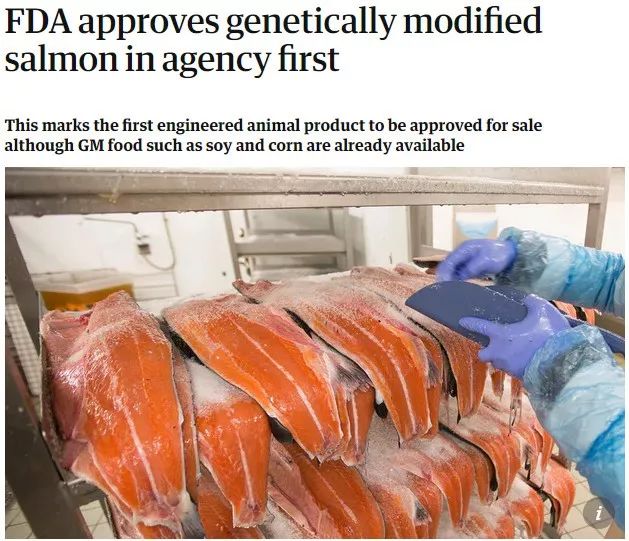 science历年封面高清图,science杂志封面2023图文