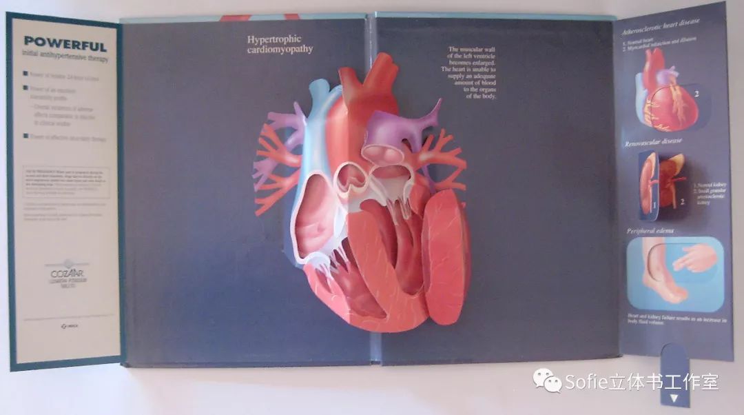 大开眼界提高认知的书籍,立体书购买推荐