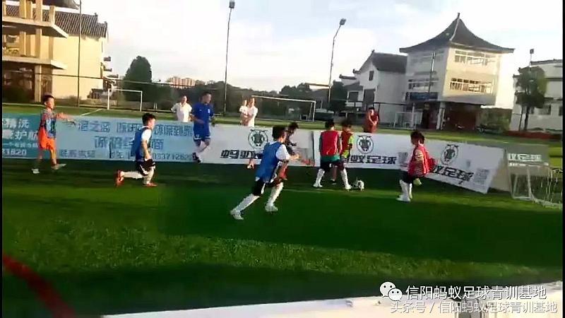 信阳蚂蚁足球直播,信阳蚂蚁足球培训班