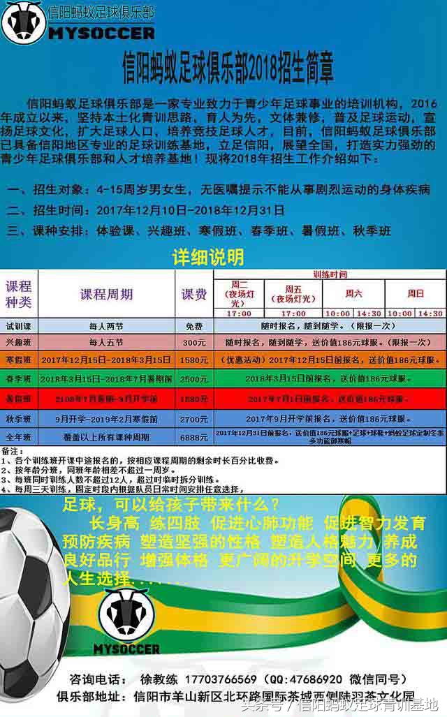 信阳蚂蚁足球直播,信阳蚂蚁足球培训班