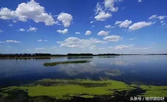 2018年哈尔滨各区县排名,2018年哈尔滨各区gdp