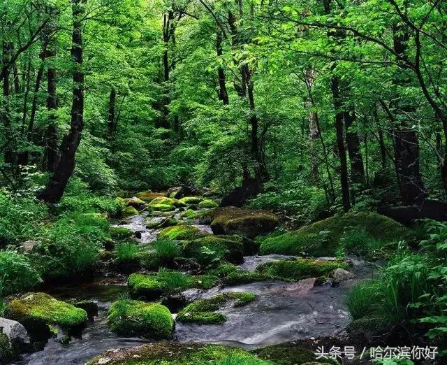 2018年哈尔滨各区县排名,2018年哈尔滨各区gdp