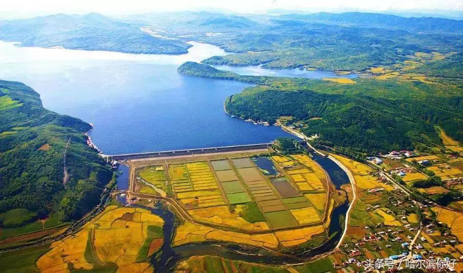 2018年哈尔滨各区县排名,2018年哈尔滨各区gdp