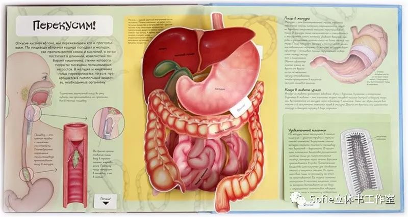 大开眼界提高认知的书籍,立体书购买推荐
