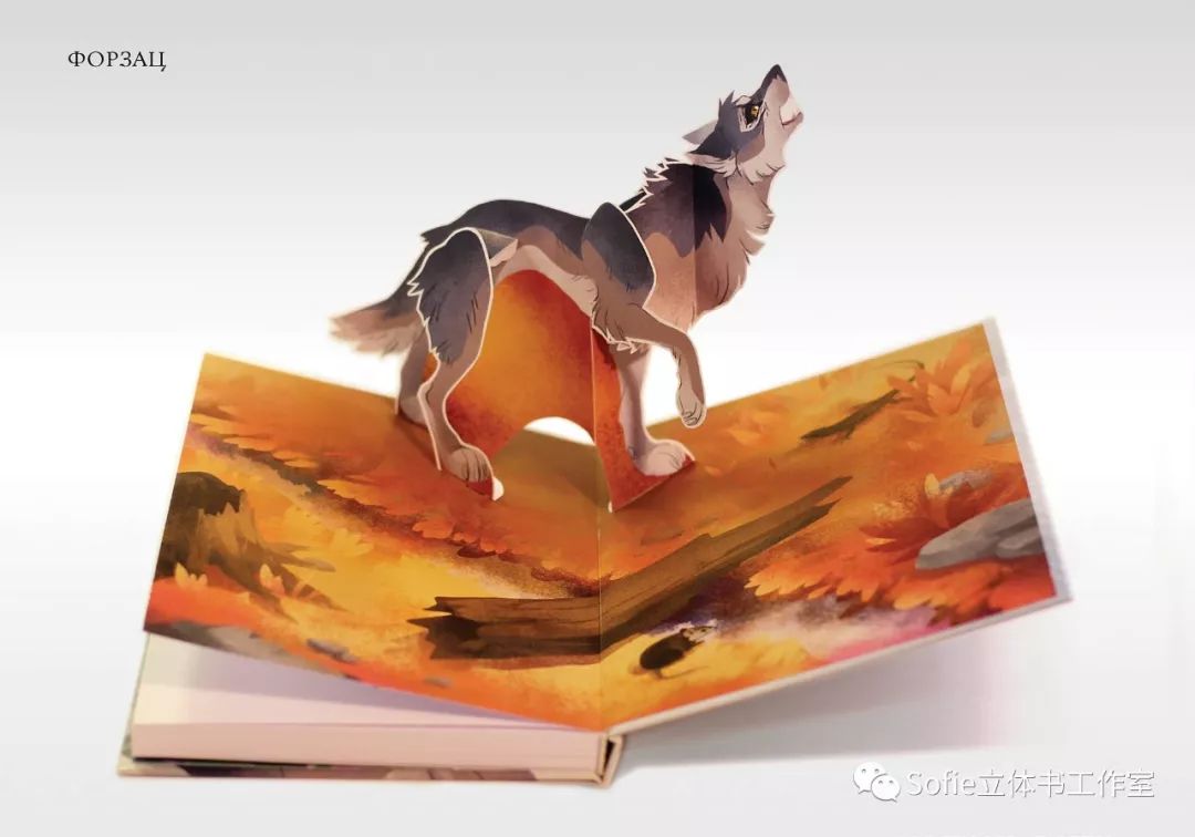 大开眼界提高认知的书籍,立体书购买推荐