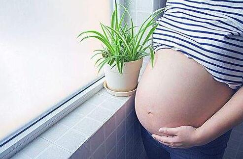 怎样护理剖腹产伤口与日常生活关注事项