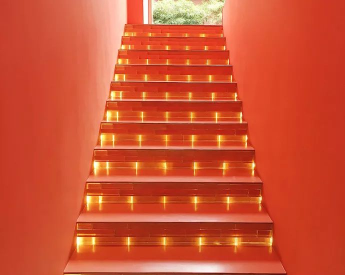 卖书卖水果是不是就不能卖蔬菜了,卖书卖花卖奶茶