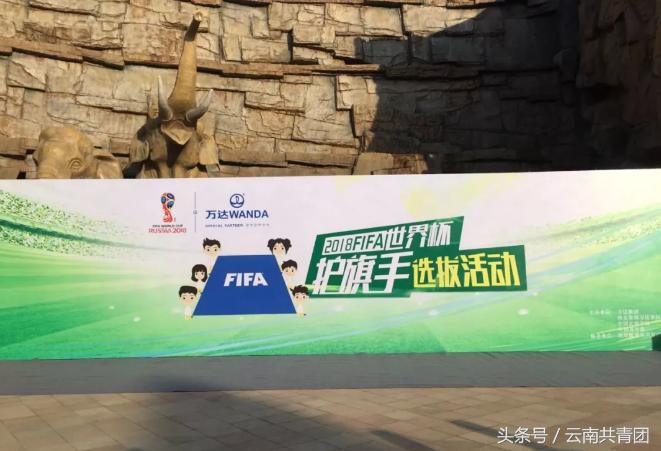 2018世界杯总决赛护旗手,2018世界杯护旗手决赛